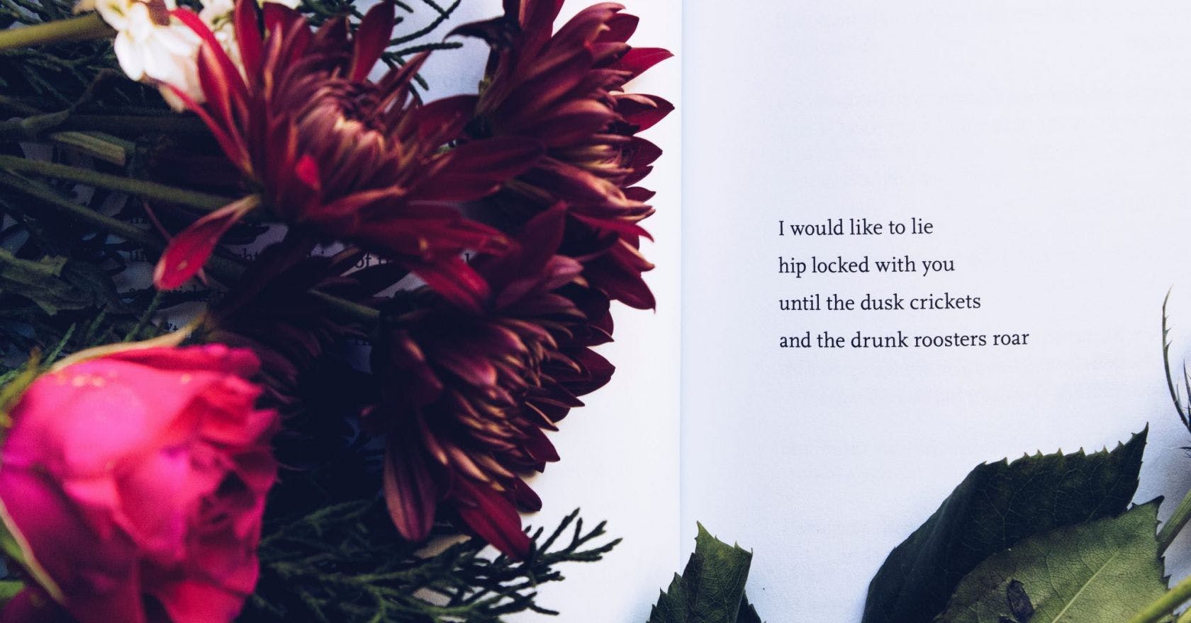 50 Of Poetry's Most Poignant Lines