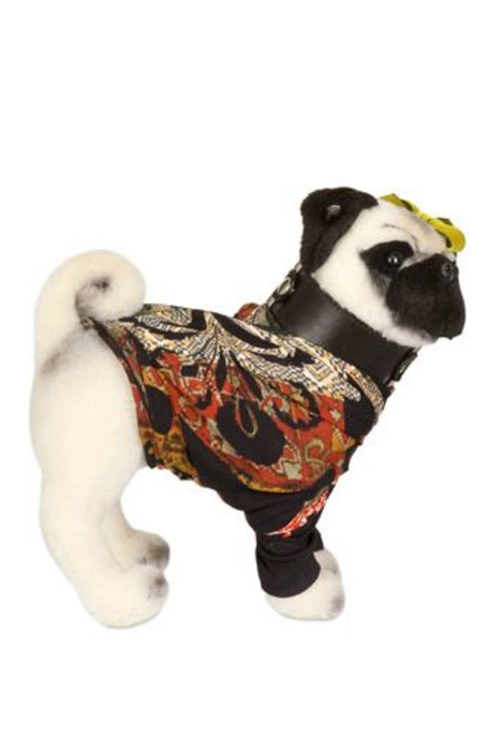 Meet the Fashion Pugs Designer dogs get dressed for Charity Stylist