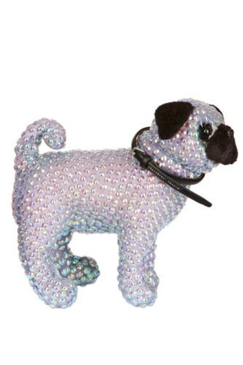 Meet the Fashion Pugs Designer dogs get dressed for Charity Stylist