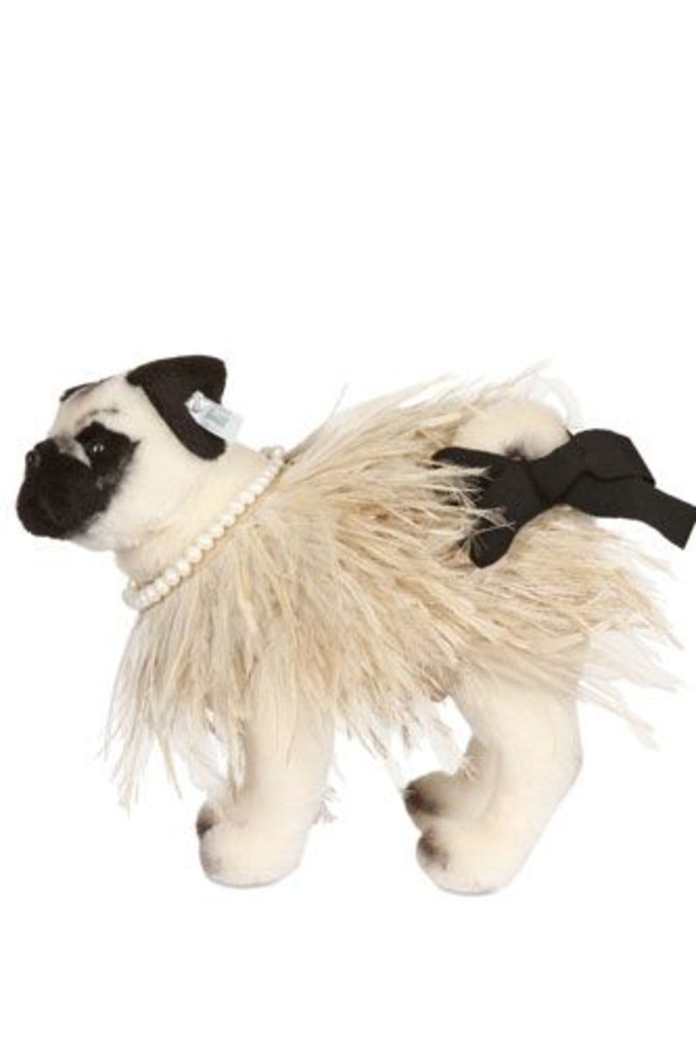 Meet the Fashion Pugs Designer dogs get dressed for Charity Stylist