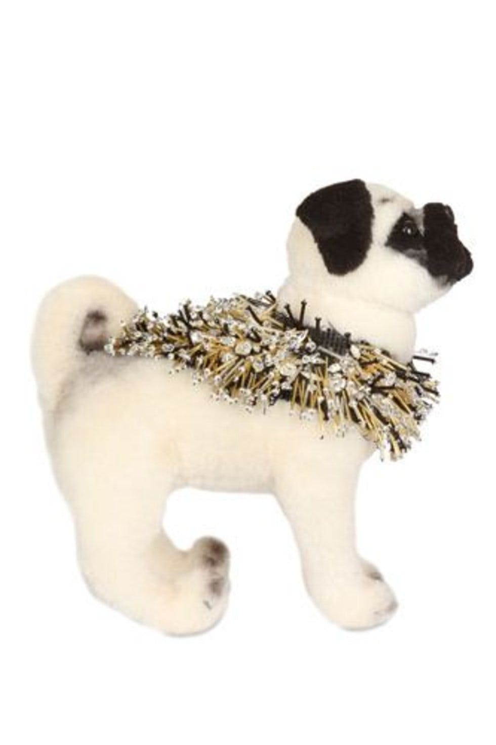 Meet the Fashion Pugs Designer dogs get dressed for Charity Stylist