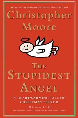 the stupidest angel book