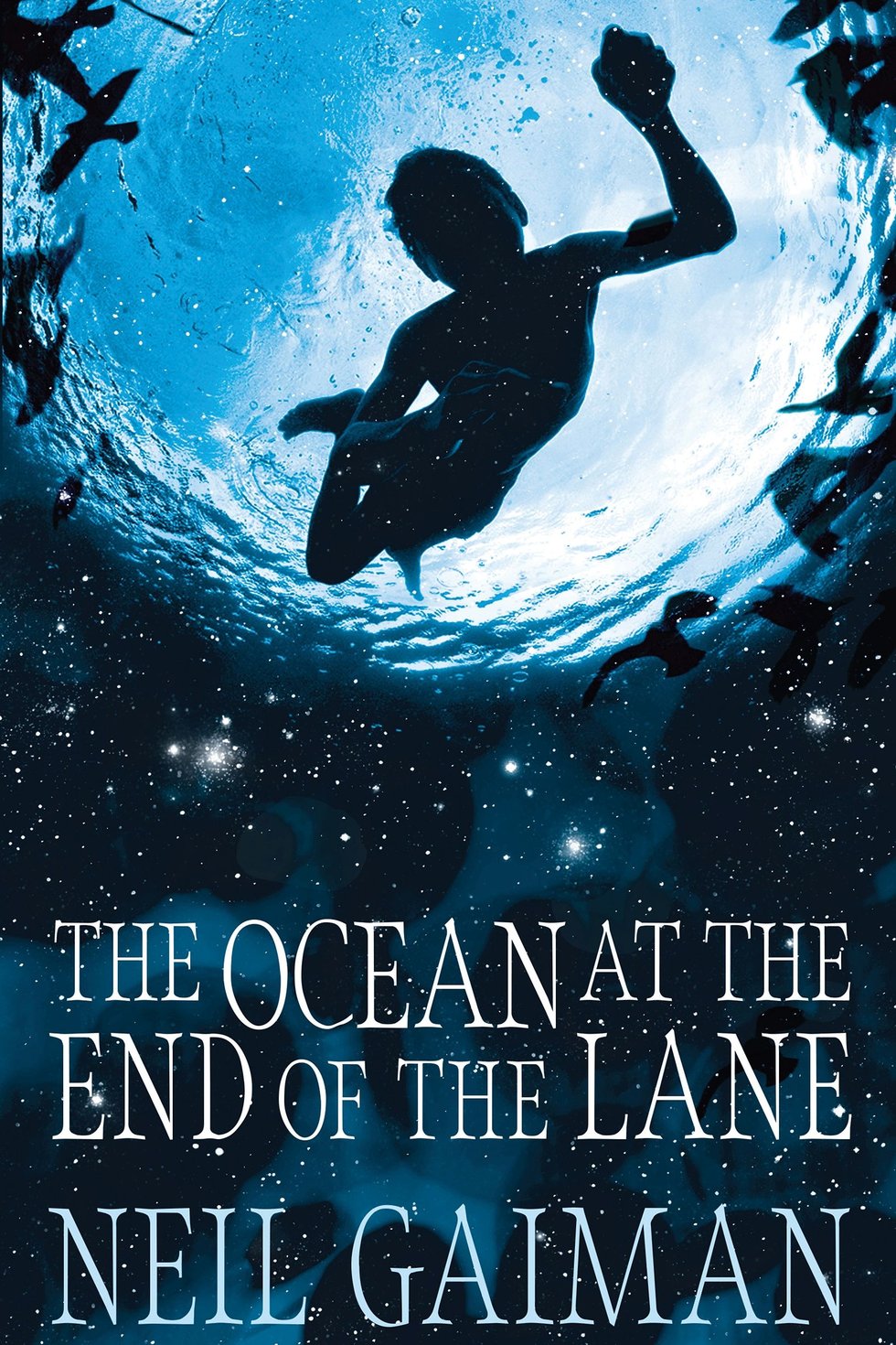 the ocean at the end of the lane book