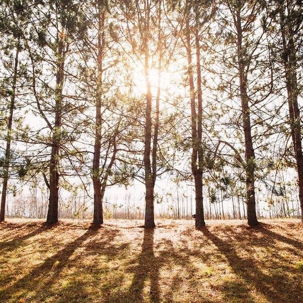 10 of the most creative and inspiring Instagram accounts to follow