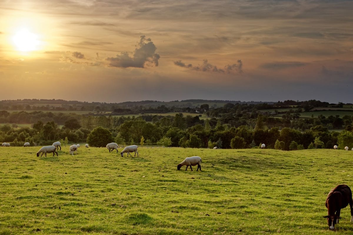Why you should make your countryside life dreams a reality Stylist