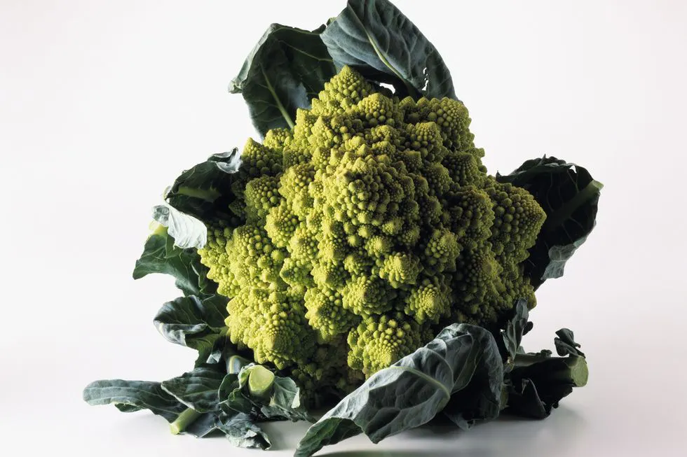 New ingredients, restaurant trends and cooking methods 