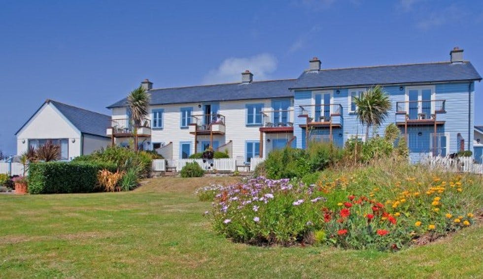 Pups Allowed England S Dog Friendly Holiday Spots Stylist