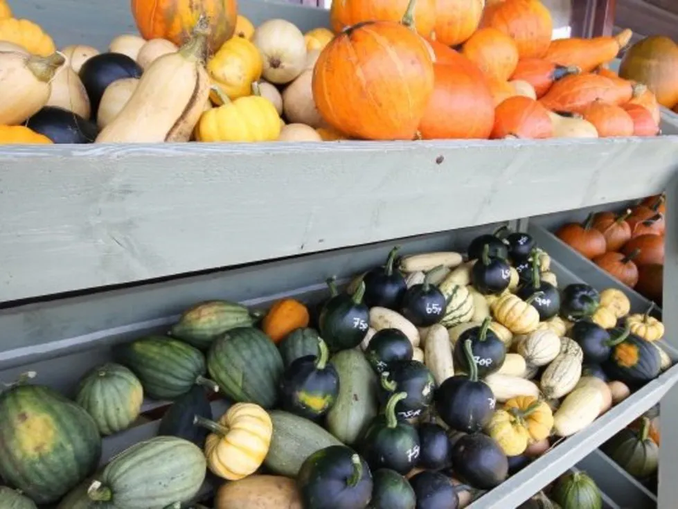 The 15 best places to pick your own fruit and veg in the UK Stylist