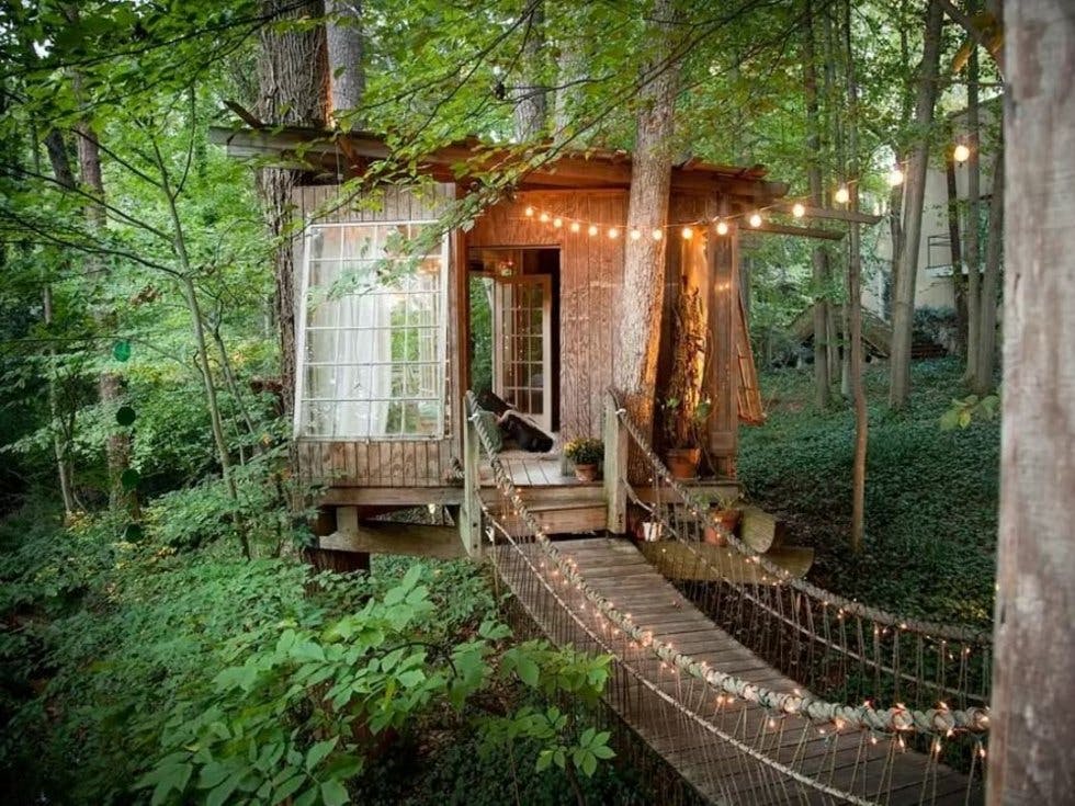 Image result for treehouse with fairy lights