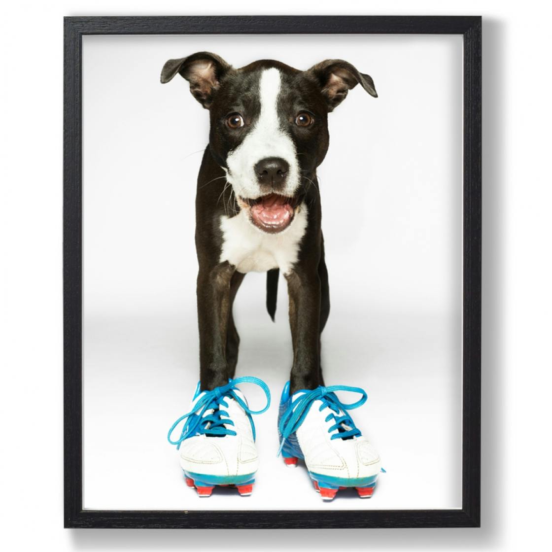 Battersea Dogs Home Christmas Gifts Battersea Dogs Home Christmas Gifts