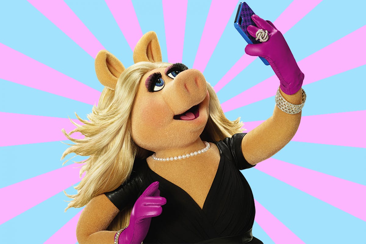 Миссис пигги. Мисс Пигги. Свинья Мисс Пигги. Мисс Пигги из Маппет. Маппет шоу Свинка Пигги.