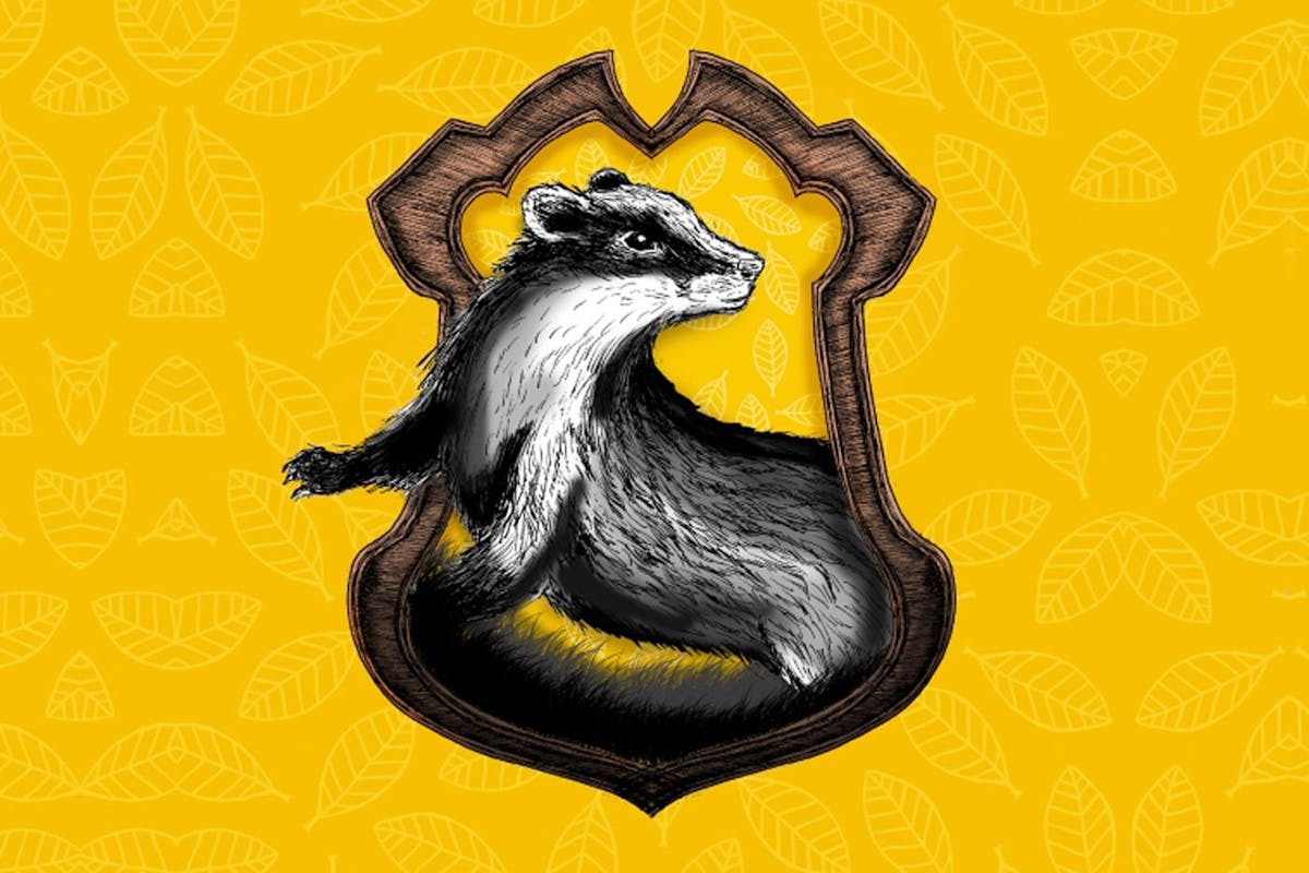 Why Hufflepuff is the best Hogwarts house in Harry Potter