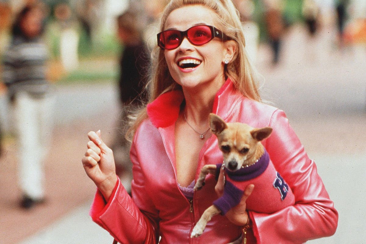 Reese Witherspoon in a scene from Legally Blonde